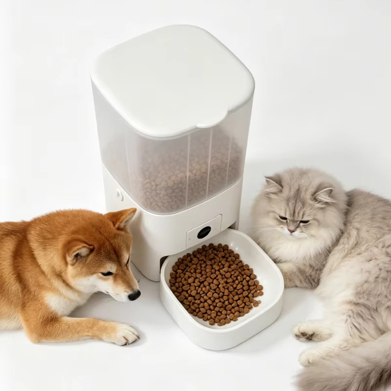 Pengumpan Kucing Otomatis 6L d - Kitchen Appliances Video ulasan dan harga