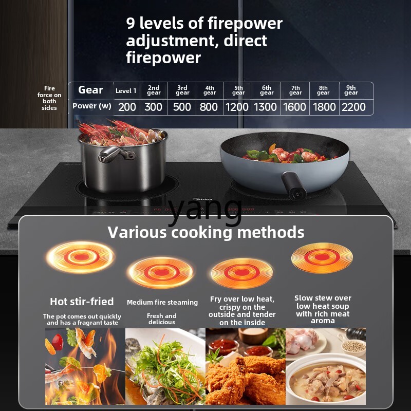 Kompor induksi CX dua tungku,  - Induction Cooker ulasan dan harga